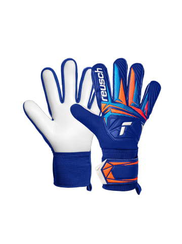 Reusch Torwarthandschuhe Attrakt Starter Solid in 4126 sharp blu/wht/shock orng