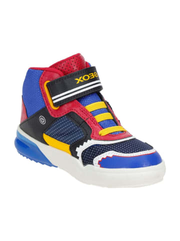 Geox Halbschuhe in Blau