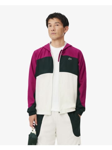 Lacoste Trainingsjacke in Farine/Sinople-Rubine