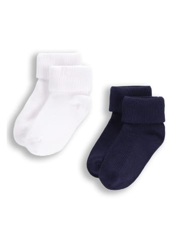 Coccodrillo Socken in bunt