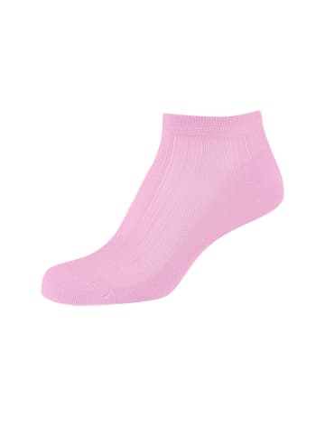 camano Sneakersocken 4er Pack ca-soft in lilac chiffon