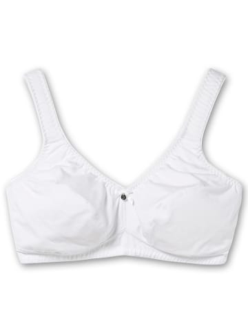 sheego Entlastungs-BH in hellblau+weiß