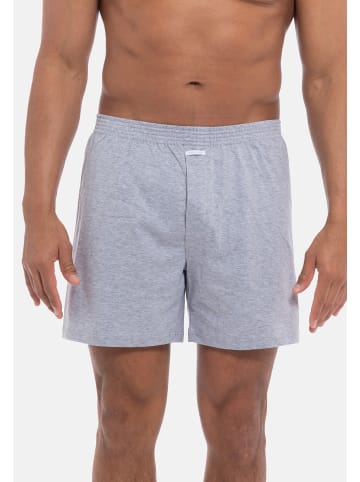 Ammann Boxershort Basic in Grau Melange