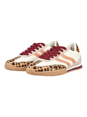 Gioseppo Sneaker in Leopard