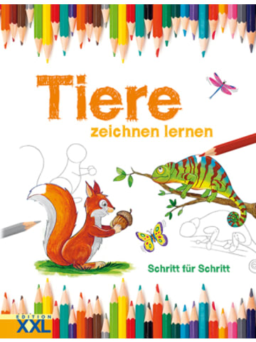Edition XXL Buch - Tiere zeichnen lernen