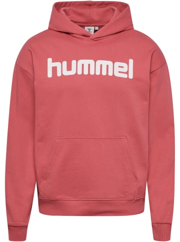 Hummel Kapuzenpullover Hmlsignature Lebensstil Erwachsene in MINERAL RED