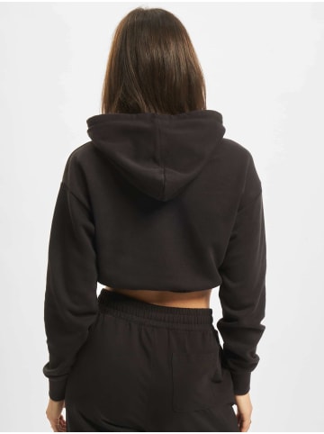 Champion Champion Kapuzenpullover in black