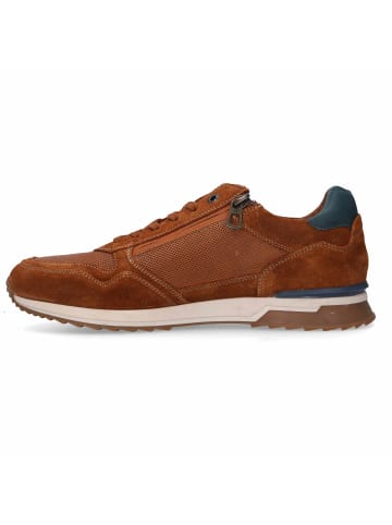 Camel Active Sneaker in braun