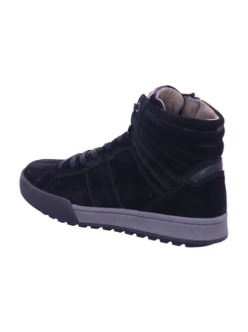 Gabor Hightop Sneaker Gabor Hightop Sneaker in Schwarz