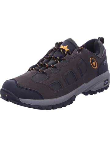 Lico Trekkingschuh Mit Tex-Membran in braun