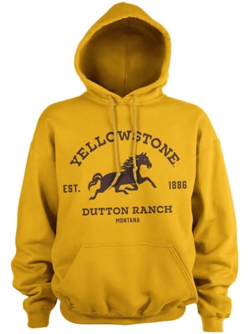 yellowstone Hoodie in Gold