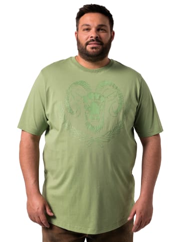 Men Plus Kurzarm T-Shirt in salbeigrün