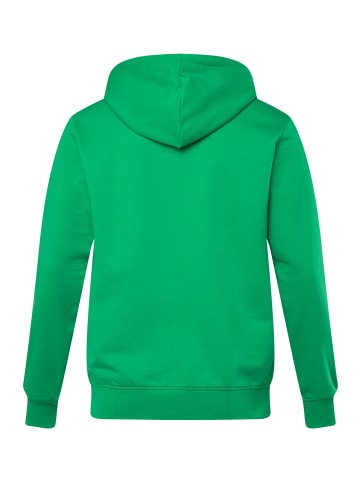 JP1880 Sweatjacke in farn grün