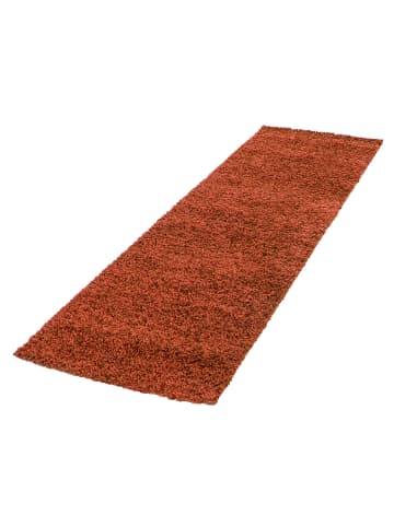 KADIMA DESIGN Teppich Hochflor Shaggy Waschbar Einfarbig RHEIN Strapazierfähig in Terrakotta