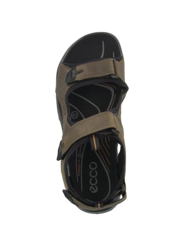 Ecco Trekkingsandale Offroad Andes II in braun