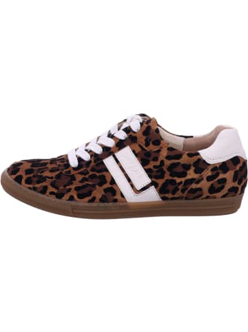 Paul Green Schnürschuhe in leopard