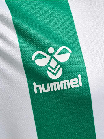 Hummel Hummel T-Shirt Hmlcore Multisport Kinder Atmungsaktiv Schnelltrocknend in JELLY BEAN/WHITE