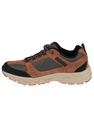 Skechers Skechers Oak Canyon in Braun