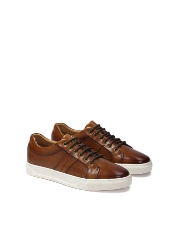 Kazar Sneaker Low in Braun