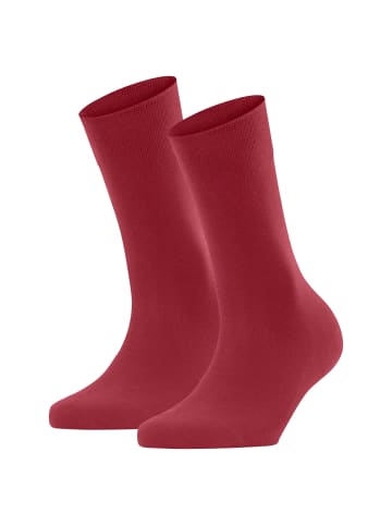 Falke Socken 2er Pack in Rot