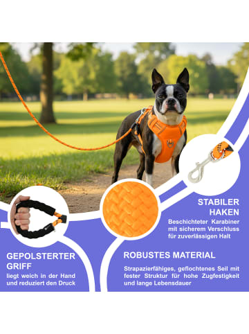 Reichstadt RS Pets Hundeleine Nylon in Orange
