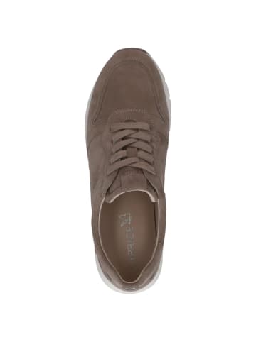 Caprice Sneaker in MUD SUEDE