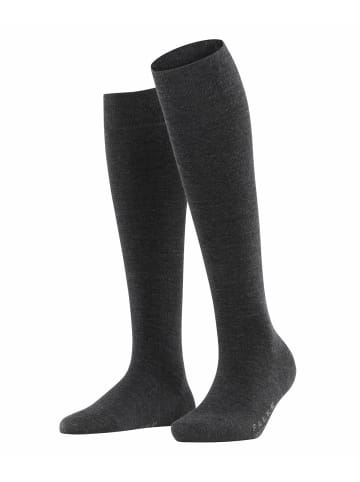 Falke Socken 1er Pack in Anthrazit