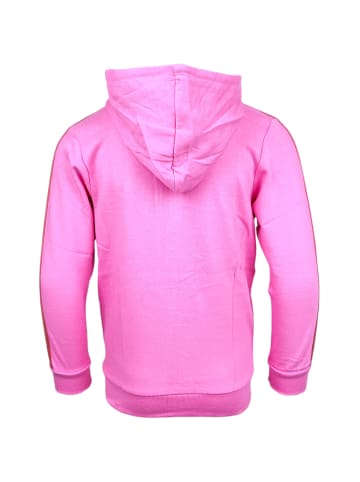 Paw Patrol Sweatjacke Paw Patrol Skye in Pink