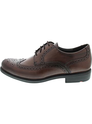 LLOYD Tampico Business Schuh Braun