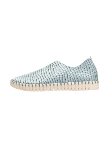 Ilse Jacobsen Slipper TULIP3031 in Sapphire