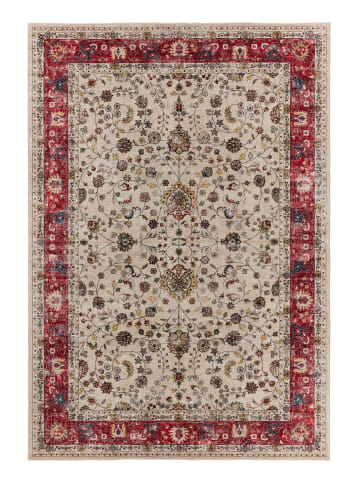 NAZARRUGS Teppich Ottoman in Beige