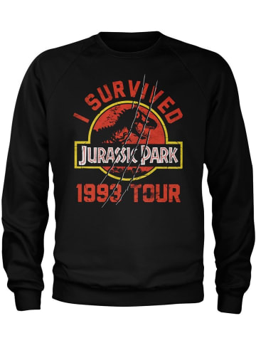 Jurassic Park Pullover in Schwarz