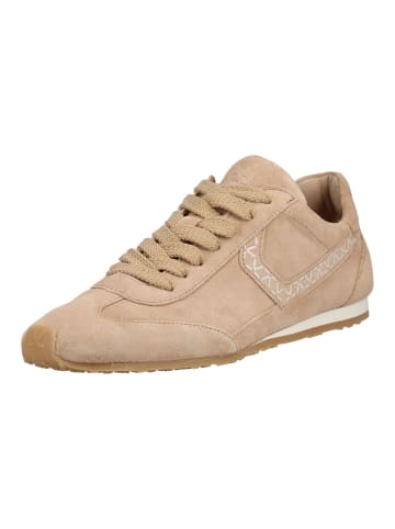 LLOYD Sneaker in Beige