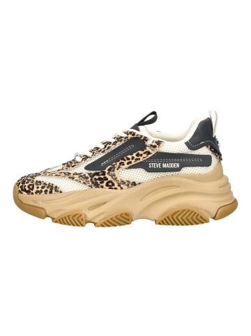 Steve Madden Sneaker in Leopard