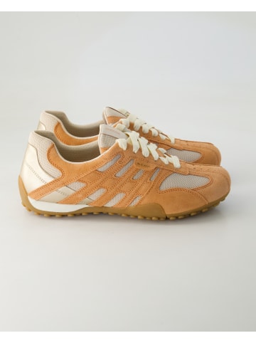 Geox Sneaker low in Orange