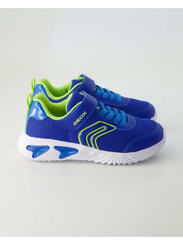 Geox Klettschuhe in Blau