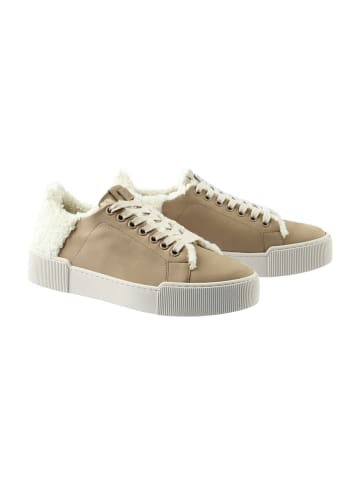 Högl Sportliche Schnürschuhe in Beige