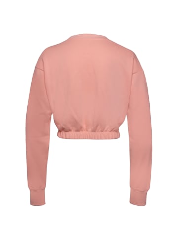 Champion Pullover Crewneck Croptop in rosa