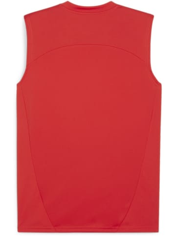 Puma T-Shirt "TeamFinal Training Jersey SL" in Rot