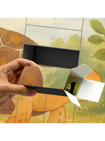 Mr. & Mrs. Panda Adventskalender Selbst Befüllen Schildkröte Mar... in Weiß