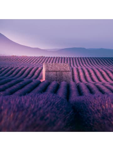 NOTIQUE Wandkalender 2027 mit 6-sprachigem Kalendarium in Provence - 30 x 30 cm