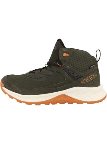 Keen Outdoorschuhe Hightrail MID WP in gruen