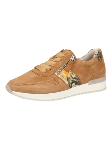 Gabor Sneaker in Caramel