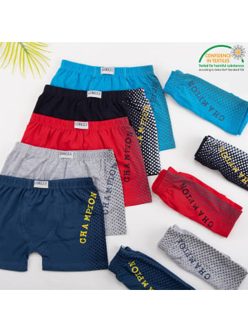 LOREZA 10er Set Boxershorts - Champion- Bunt