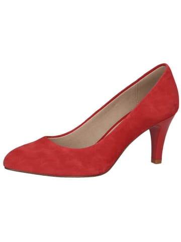 Caprice Pumps in RED SUEDE