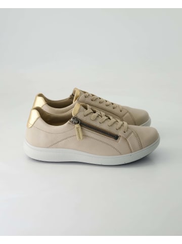 Josef Seibel Klassische Schnürschuhe in Beige