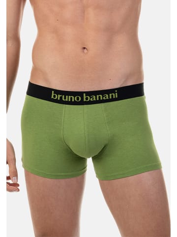 Bruno Banani Retro Short / Pant Flowing in Grün / Schwarz