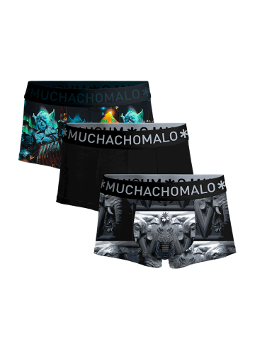 Muchachomalo 3er-Set: Boxershorts in Multicolor