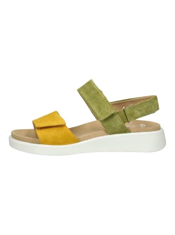 ara Sandalen in Grün