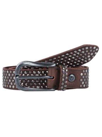 b.belt Nietengürtel Leder in chocolate brown